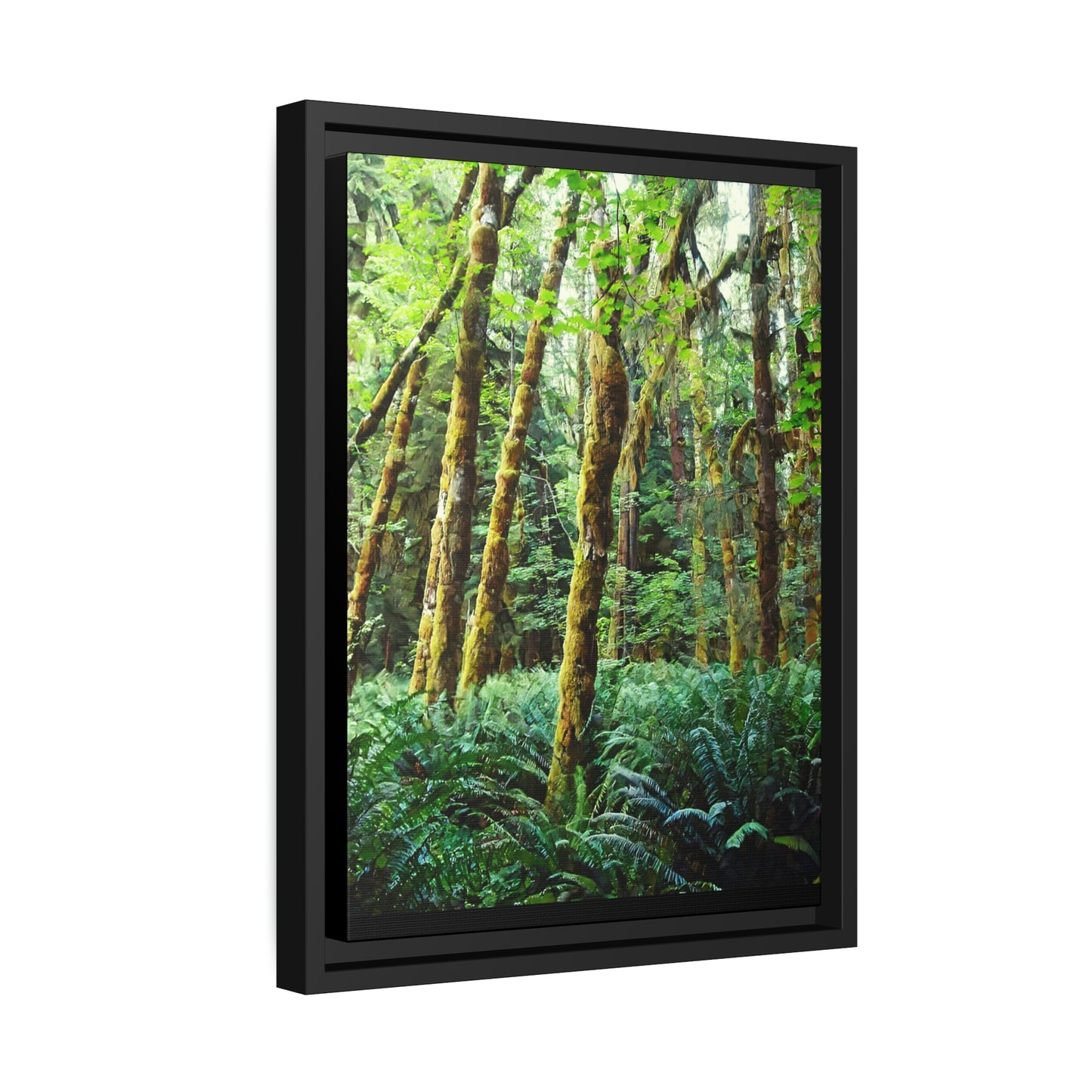 PNW Rainforest Wall Decor on a Black-Framed Canvas
